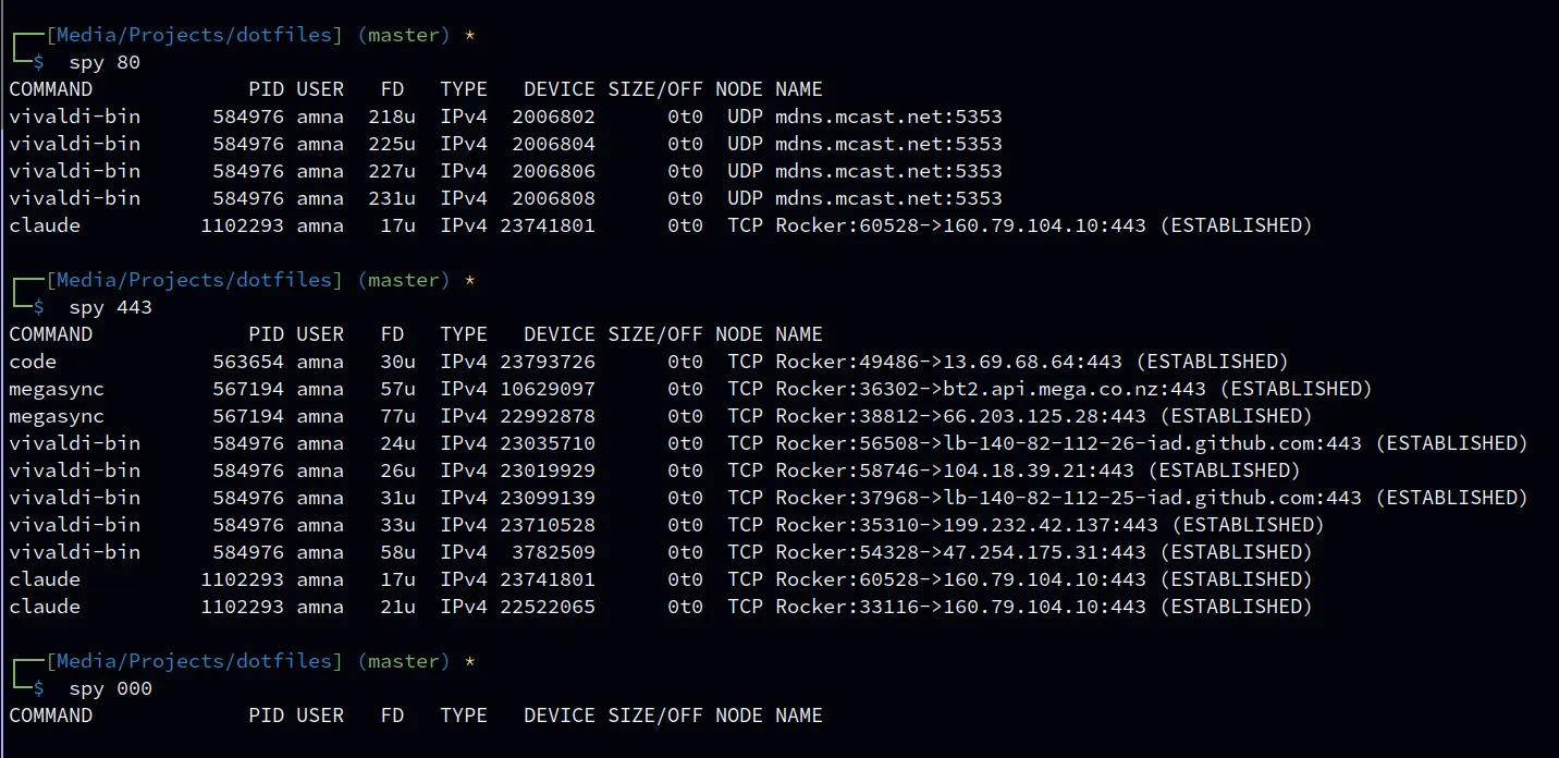 spy output: lsof table filtered to matching connections